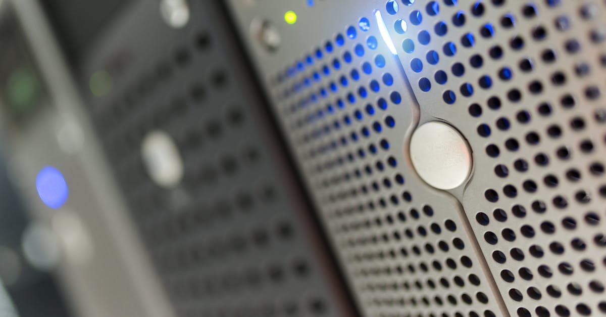 WHOIS Lookup: How to Find Who Owns Any Domain Name